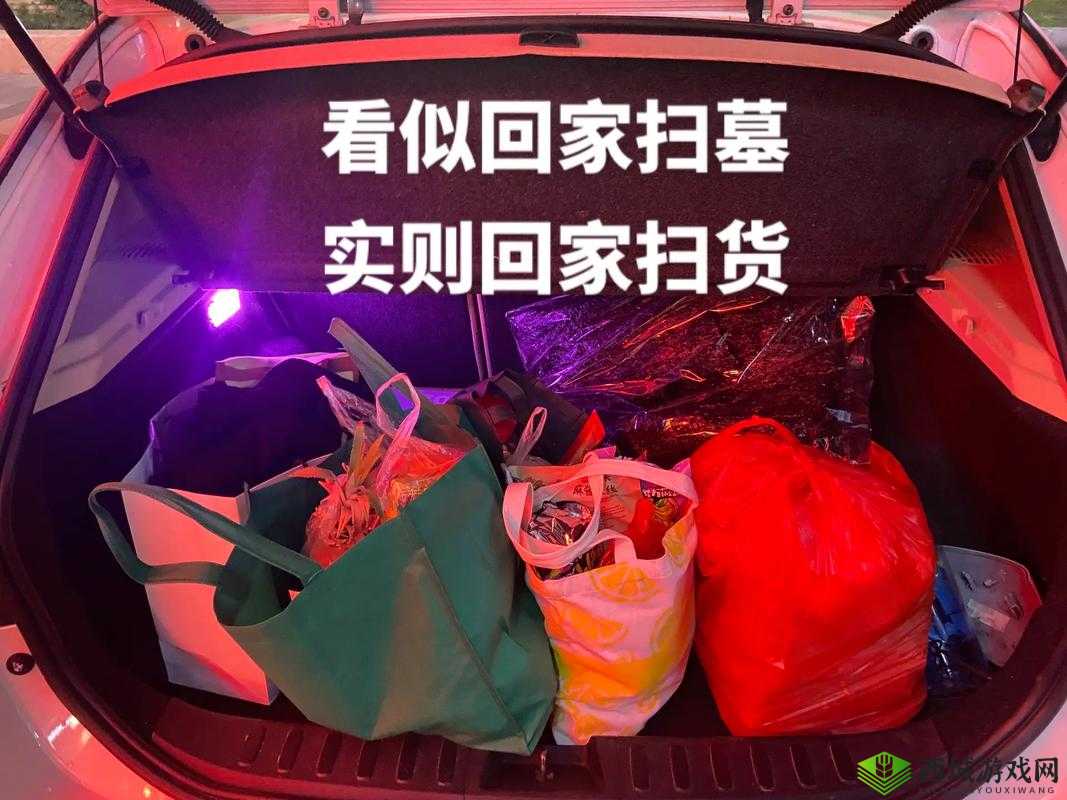 小扫货水能么多叫出来骨科:令人费解的表达