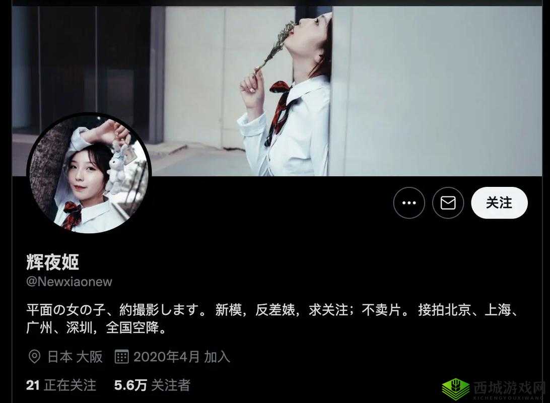 黑料反差婊荷兰：揭开其真面目