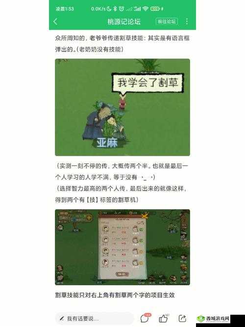桃源记新手必备，飞跃发展全攻略，解锁高效成长与建设秘籍