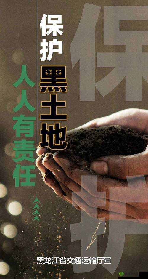 黑土地,生命之源与保护之责