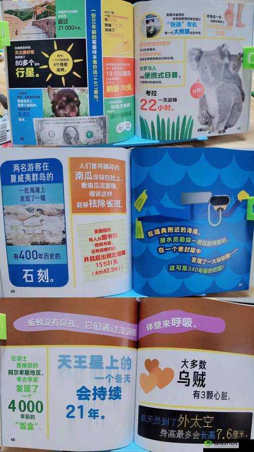 色彩大冒险秘籍揭秘：探索未知世界的神奇密码