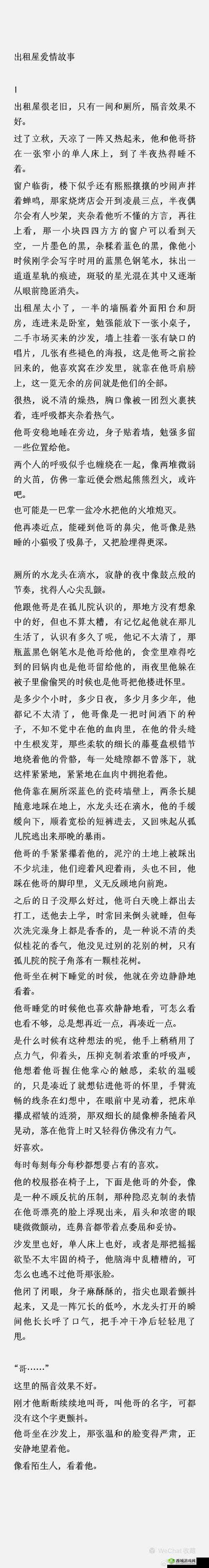 911 爱爱:一段跨越文化与语言的爱情故事