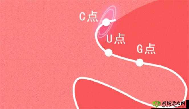 从 W 到高 C 的 50 种图片教程视频，你想知道怎么做吗？